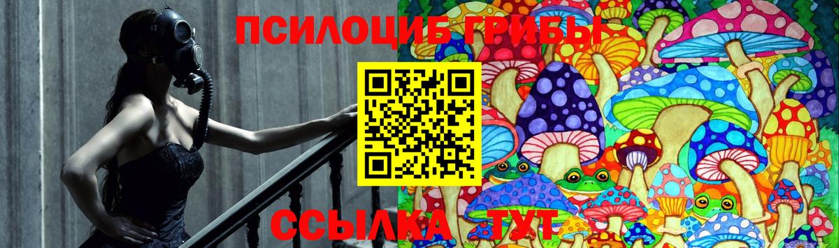 Галлюциногенные грибы Cubensis Верхний Уфалей
