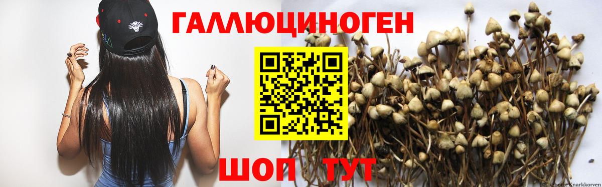 Галлюциногенные грибы GOLDEN TEACHER  Вход с VPN  Верхний Уфалей 